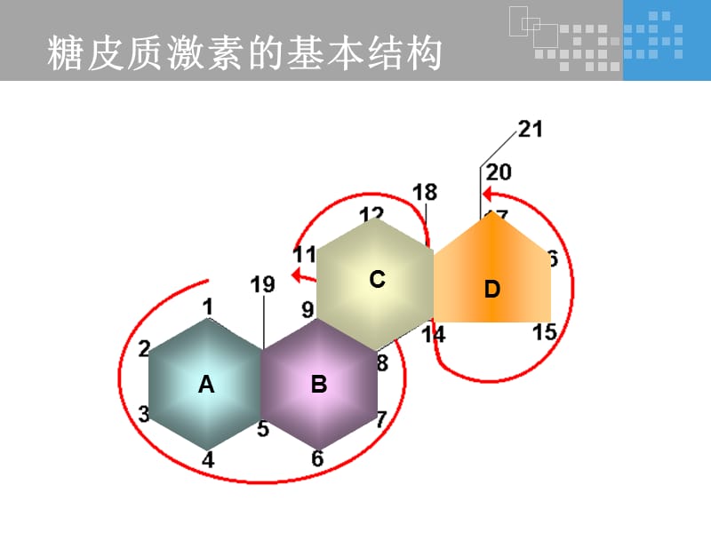 氟轻松是如何发挥其药理作用的？